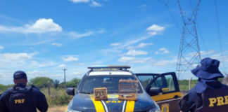 Acidente entre carro e caminhão deixa um morto e três feridos graves na BR-116