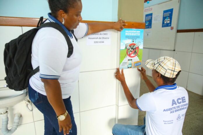 Dengue em Salvador