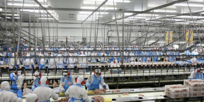 Setor Produtivo