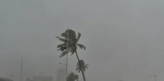 Risco de super El Niño sobre para 98%, apontam especialistas