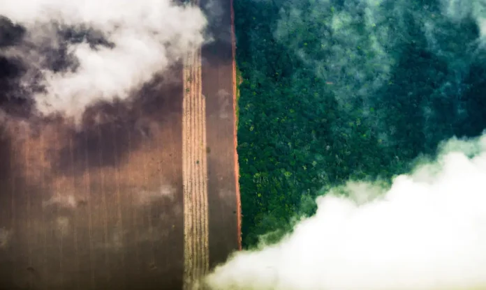 Fotografia aérea da floresta Amazônica