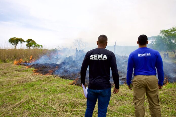 sema