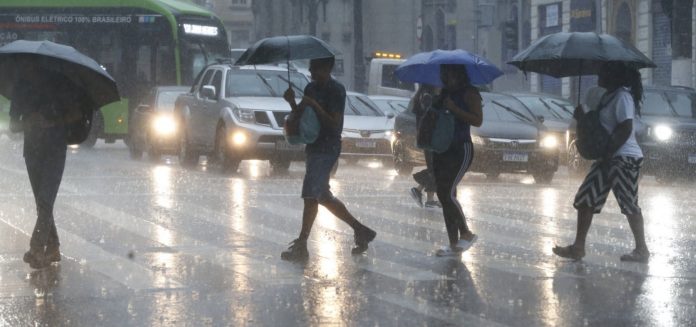 IMG_2941