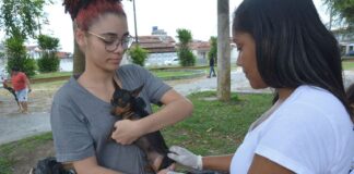 Vacinação antirrábica para cães e gatos chega a bairros de Salvador