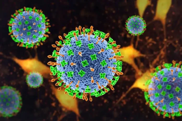 a-primeira-identificacao-do-virus-nipah-ocorreu-em-1999-de-acordo-com-a-organizacao-mundial-da-saude_0bc82c57_260126182816_800x533