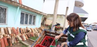 Bahia registra queda expressiva nos casos de dengue e outras arboviroses em 2025