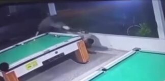 Assessor parlamentar é morto a tiros em bar de Eunápolis