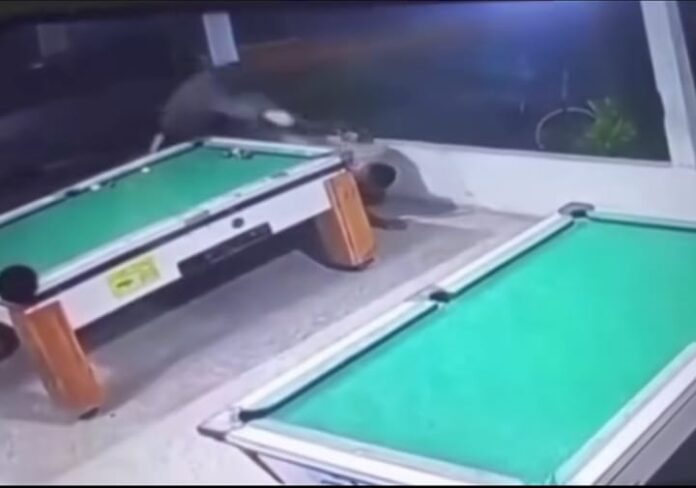 assessor parlamentar eunapolis morto tiros Assessor parlamentar é morto a tiros em bar de Eunápolis