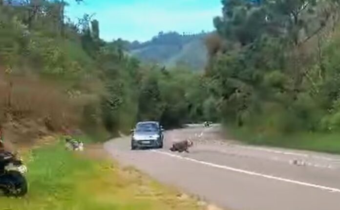 Motociclista morre após grave acidente com carro em rodovia