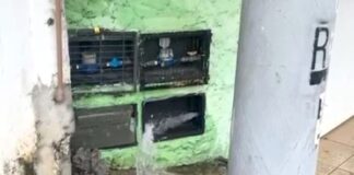 Moradores denunciam furto de hidrômetros em Salvador