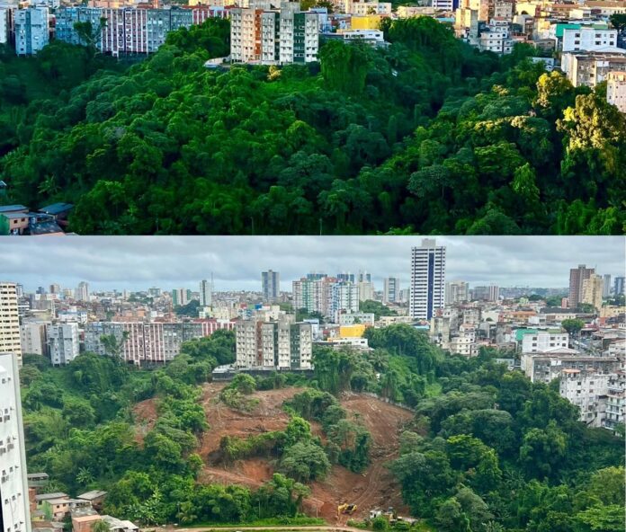 Sílvio Humberto denuncia devastação ambiental e racismo ambiental em Salvador