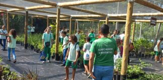 Ilha de Itaparica ganha espaço de educação ambiental