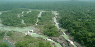 Câmara reduz 40% de floresta nacional no Pará, diminuindo a proteção ambiental