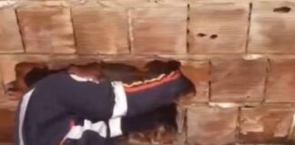 Recém-nascido abandonado entre muros morre na Paraíba