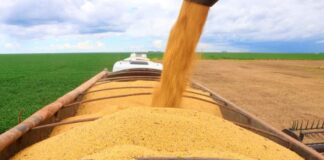 PIB do agronegócio baiano totalizou R$ 19,2 bi no 1º trimestre de 2026