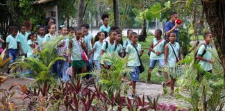 Natureza vira sala de aula em programação especial da Semana do Meio Ambiente