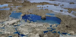 Governo da Bahia homologa estado de emergência por contaminação em praia de Salvador Governo da Bahia homologa estado de emergência por contaminação em São Tomé de Paripe