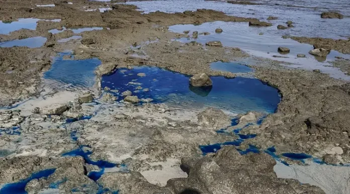 Interdição na praia de São Tomé de Paripe Governo da Bahia homologa estado de emergência por contaminação em São Tomé de Paripe