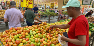 Cesta Básica de Salvador apresenta queda de 0,80% em junho, aponta SEI